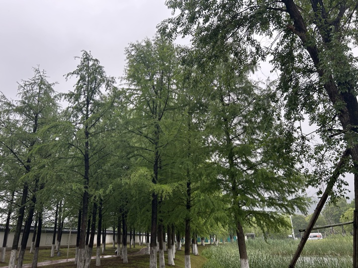 南京旅行旅行照片 74