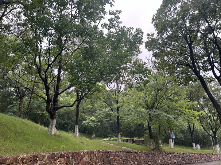 南京旅行旅行照片 80