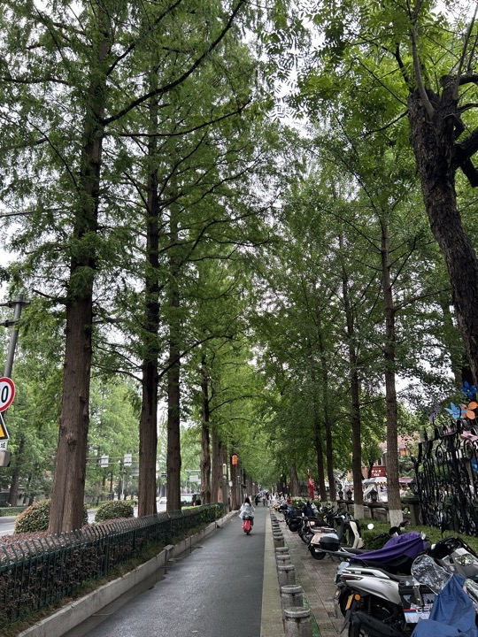 南京旅行旅行照片 90