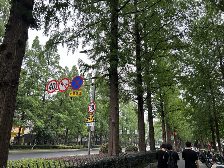 南京旅行旅行照片 91
