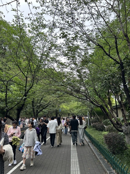 南京旅行旅行照片 94