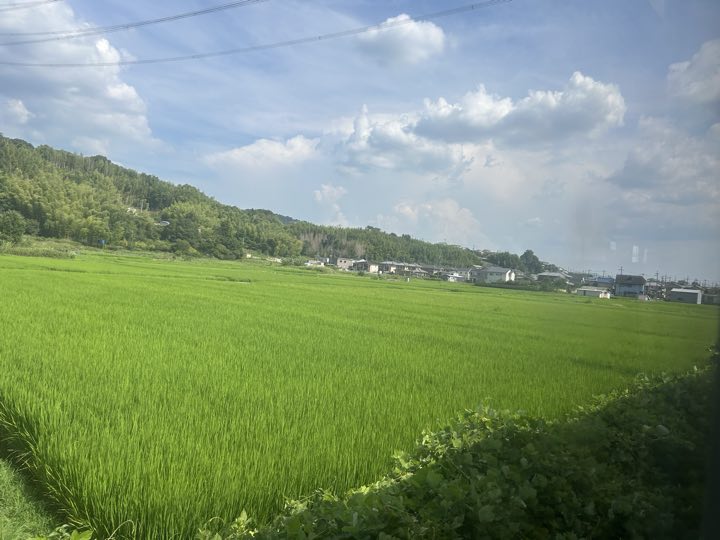 奈良旅行照片 5