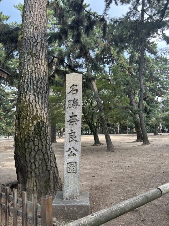 奈良旅行照片 10