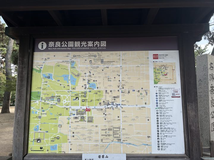 奈良旅行照片 11
