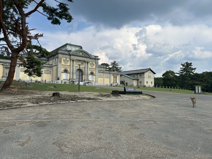 奈良旅行照片 14