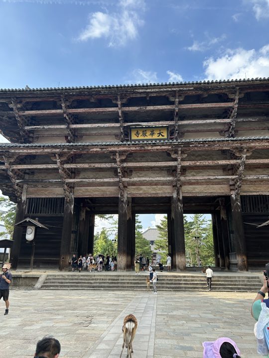 奈良旅行照片 19