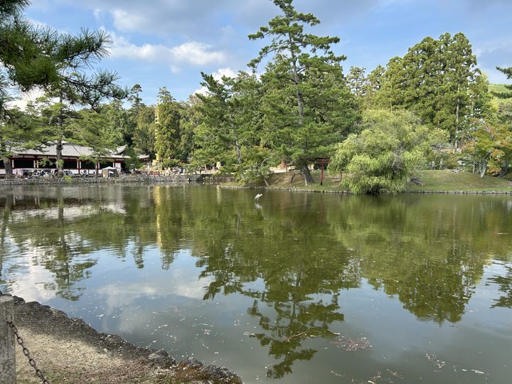 奈良旅行照片 20