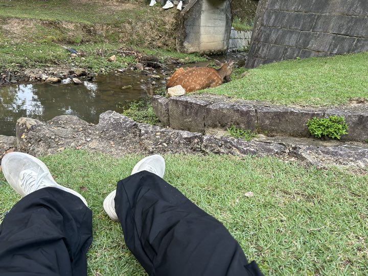奈良旅行照片 21