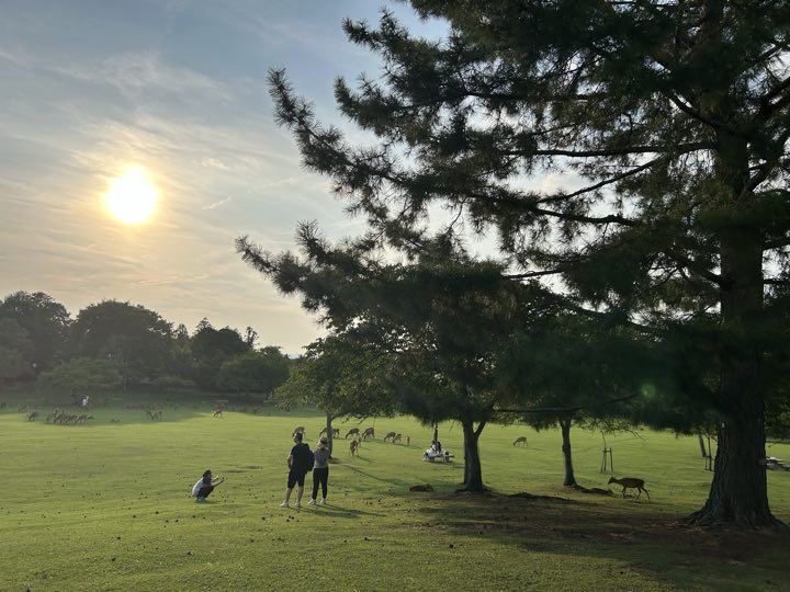 奈良旅行照片 25