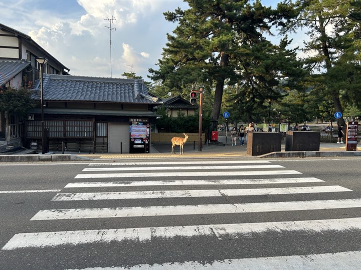 奈良旅行照片 27