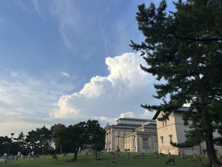 奈良旅行照片 29