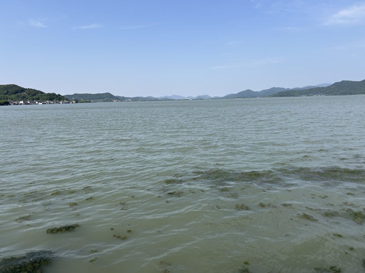 【徒步| 宁波市鄞州区东钱湖镇】你的名字·韩岭钱湖｜烟火老街漫游旅行照片 14