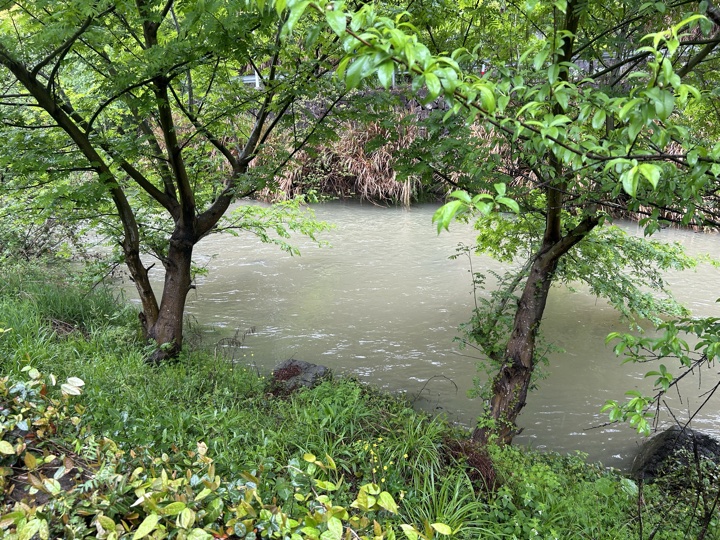 【徒步| 绍兴市·新昌县】永远的山谷·安山古道｜再见溪水丹霞，轻徒岁月长安旅行照片 14
