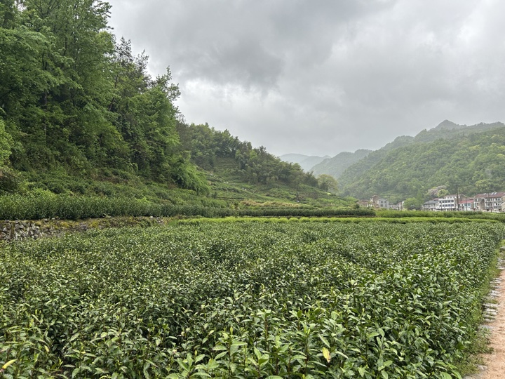 【徒步| 绍兴市·新昌县】永远的山谷·安山古道｜再见溪水丹霞，轻徒岁月长安旅行照片 15