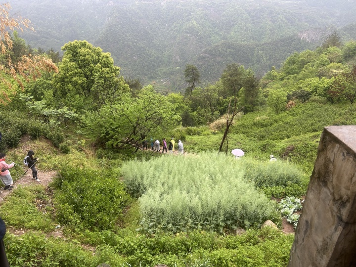 【徒步| 绍兴市·新昌县】永远的山谷·安山古道｜再见溪水丹霞，轻徒岁月长安旅行照片 16