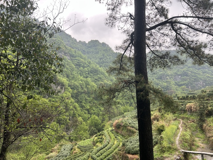 【徒步| 绍兴市·新昌县】永远的山谷·安山古道｜再见溪水丹霞，轻徒岁月长安旅行照片 25