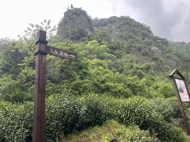【徒步| 绍兴市·新昌县】永远的山谷·安山古道｜再见溪水丹霞，轻徒岁月长安旅行照片 29
