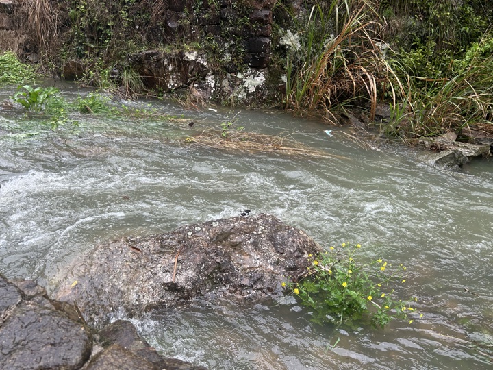 【徒步| 绍兴市·新昌县】永远的山谷·安山古道｜再见溪水丹霞，轻徒岁月长安旅行照片 30