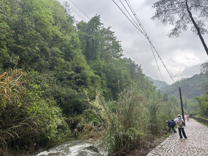 【徒步| 绍兴市·新昌县】永远的山谷·安山古道｜再见溪水丹霞，轻徒岁月长安旅行照片 32