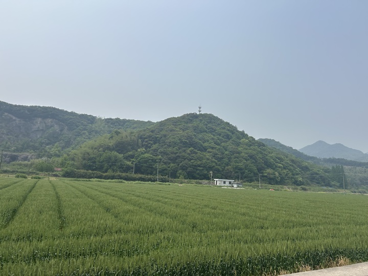 【徒步| 绍兴上虞区上浦镇梅坞村】夏至·梅坞古道｜邂逅碧蓝澄湖，夏日气息旅行照片 3