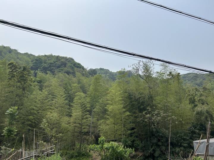 【徒步| 绍兴上虞区上浦镇梅坞村】夏至·梅坞古道｜邂逅碧蓝澄湖，夏日气息旅行照片 4