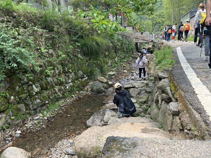 【徒步| 绍兴上虞区上浦镇梅坞村】夏至·梅坞古道｜邂逅碧蓝澄湖，夏日气息旅行照片 5