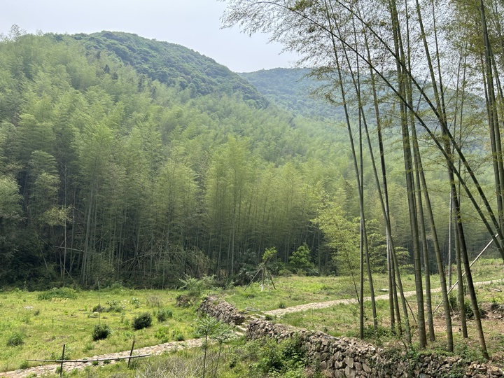 【徒步| 绍兴上虞区上浦镇梅坞村】夏至·梅坞古道｜邂逅碧蓝澄湖，夏日气息旅行照片 6