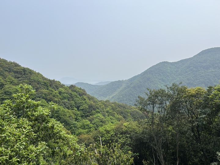 【徒步| 绍兴上虞区上浦镇梅坞村】夏至·梅坞古道｜邂逅碧蓝澄湖，夏日气息旅行照片 10
