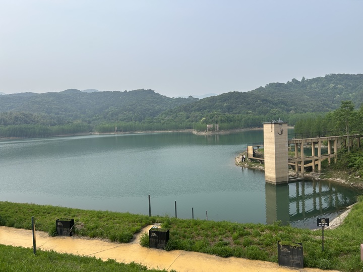 【徒步| 绍兴上虞区上浦镇梅坞村】夏至·梅坞古道｜邂逅碧蓝澄湖，夏日气息旅行照片 13