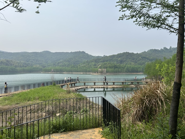 【徒步| 绍兴上虞区上浦镇梅坞村】夏至·梅坞古道｜邂逅碧蓝澄湖，夏日气息旅行照片 14