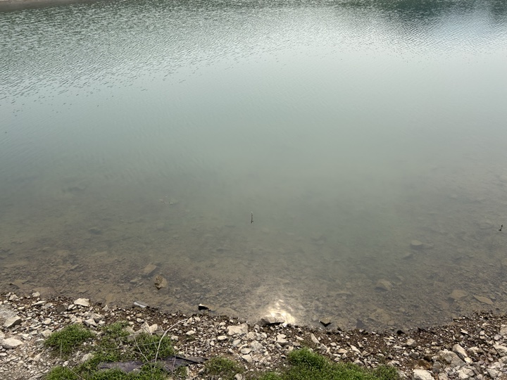 【徒步| 绍兴上虞区上浦镇梅坞村】夏至·梅坞古道｜邂逅碧蓝澄湖，夏日气息旅行照片 16