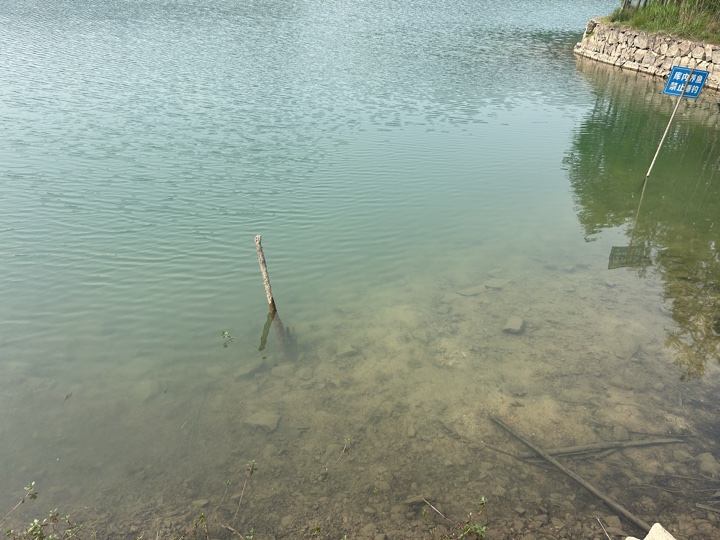【徒步| 绍兴上虞区上浦镇梅坞村】夏至·梅坞古道｜邂逅碧蓝澄湖，夏日气息旅行照片 17