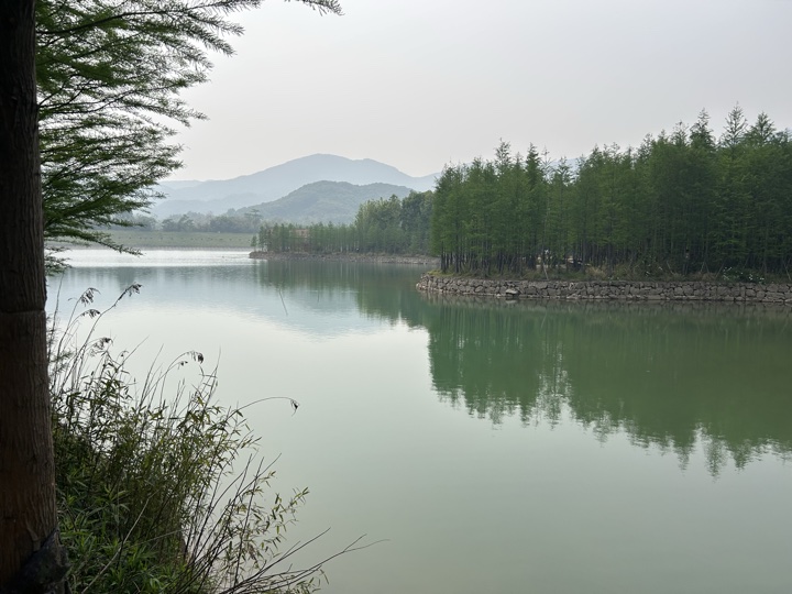 【徒步| 绍兴上虞区上浦镇梅坞村】夏至·梅坞古道｜邂逅碧蓝澄湖，夏日气息旅行照片 19