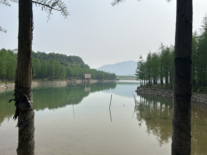 【徒步| 绍兴上虞区上浦镇梅坞村】夏至·梅坞古道｜邂逅碧蓝澄湖，夏日气息旅行照片 27