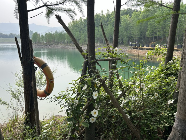 【徒步| 绍兴上虞区上浦镇梅坞村】夏至·梅坞古道｜邂逅碧蓝澄湖，夏日气息旅行照片 28