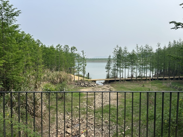 【徒步| 绍兴上虞区上浦镇梅坞村】夏至·梅坞古道｜邂逅碧蓝澄湖，夏日气息旅行照片 30