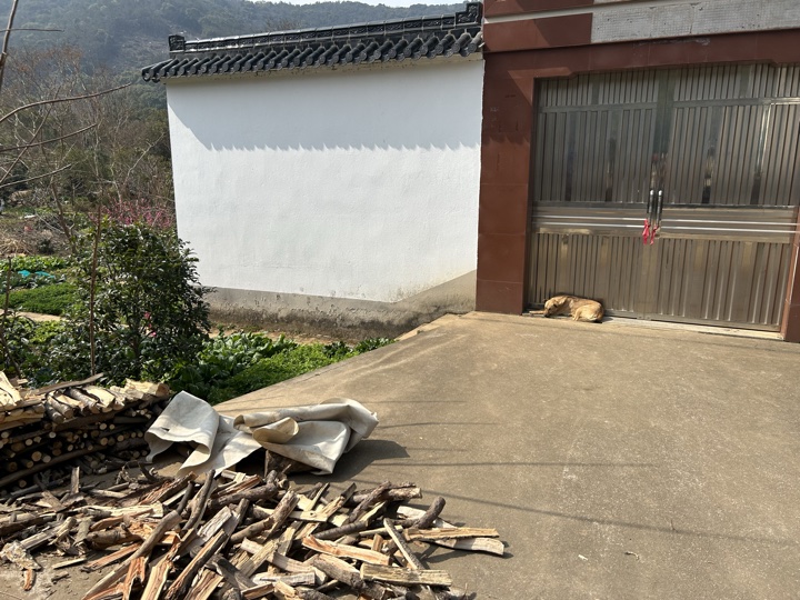 【徒步| 苏州市吴中区光福镇】光福三尖·梅花香雪海｜赏乾隆六赴赏梅踏春地旅行照片 3