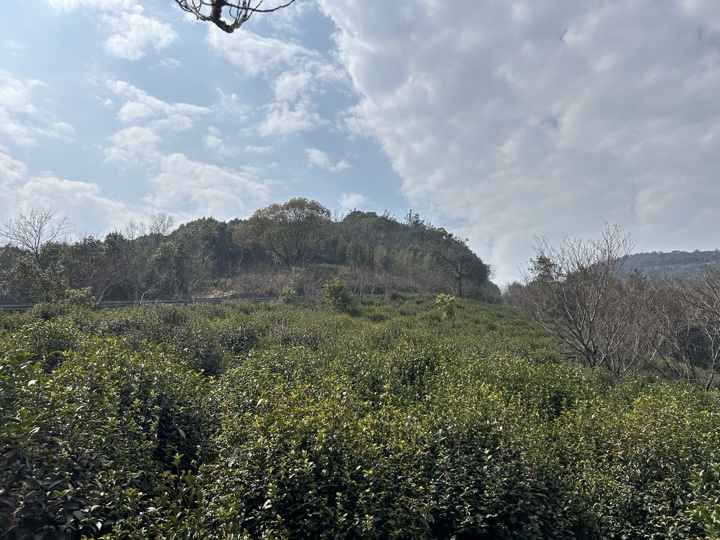 【徒步| 苏州市吴中区光福镇】光福三尖·梅花香雪海｜赏乾隆六赴赏梅踏春地旅行照片 4