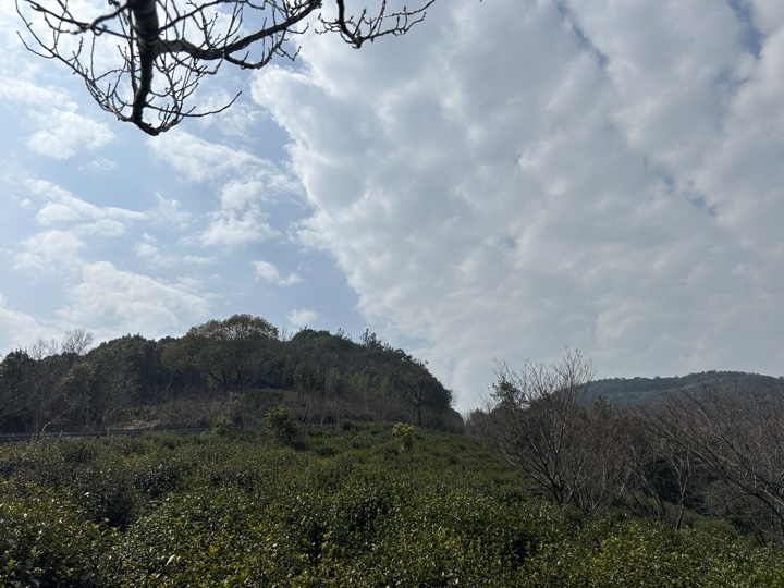 【徒步| 苏州市吴中区光福镇】光福三尖·梅花香雪海｜赏乾隆六赴赏梅踏春地旅行照片 5