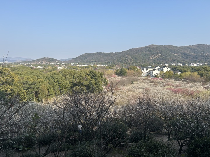 【徒步| 苏州市吴中区光福镇】光福三尖·梅花香雪海｜赏乾隆六赴赏梅踏春地旅行照片 22