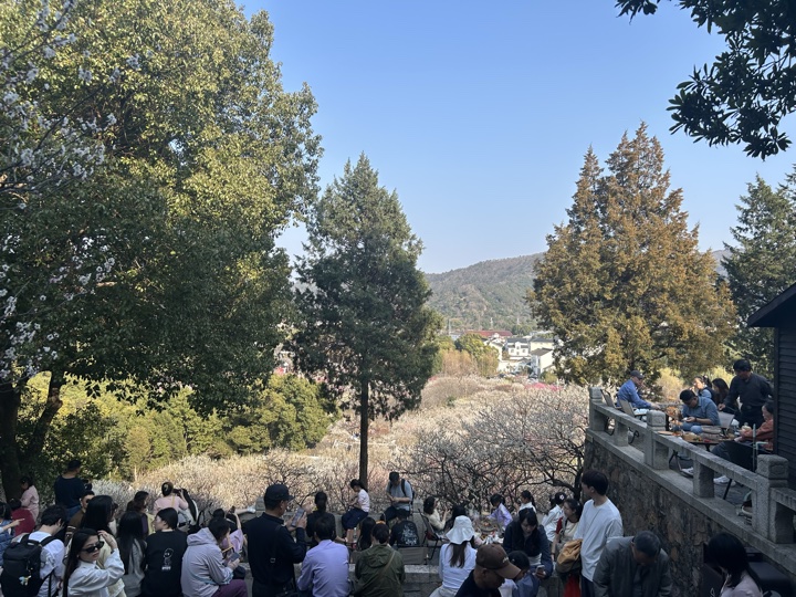 【徒步| 苏州市吴中区光福镇】光福三尖·梅花香雪海｜赏乾隆六赴赏梅踏春地旅行照片 23