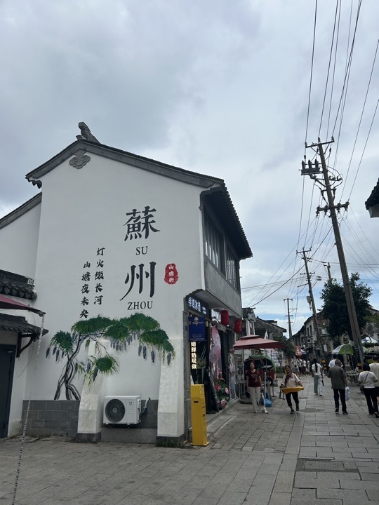 苏州七里山塘+虎丘湿地公园桨板旅行照片 14