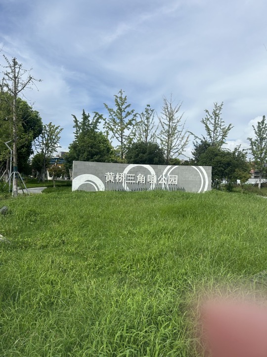 苏州七里山塘+虎丘湿地公园桨板旅行照片 20