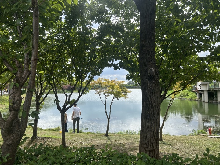 苏州七里山塘+虎丘湿地公园桨板旅行照片 22
