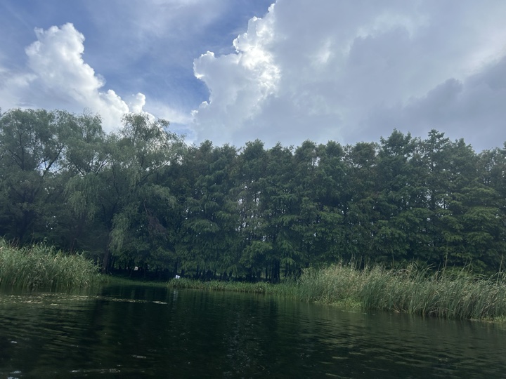 苏州七里山塘+虎丘湿地公园桨板旅行照片 38