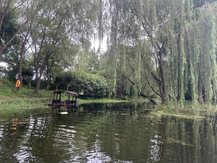 苏州七里山塘+虎丘湿地公园桨板旅行照片 41