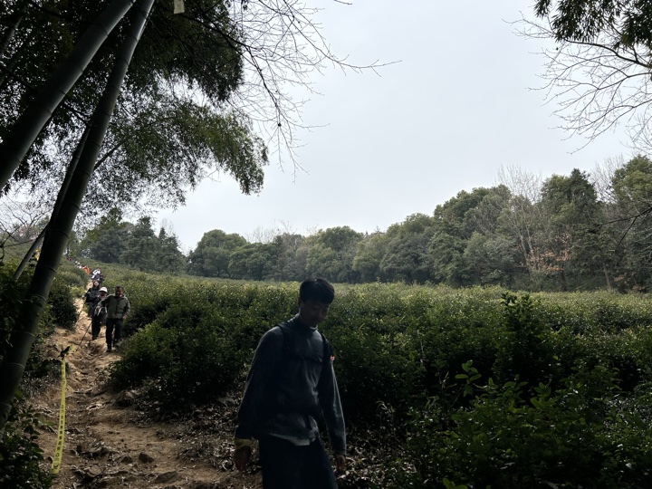 【徒步| 苏州市吴中区旺七】疾速入门·姑苏旺七｜苏州太湖疾速入门线路旅行照片 8