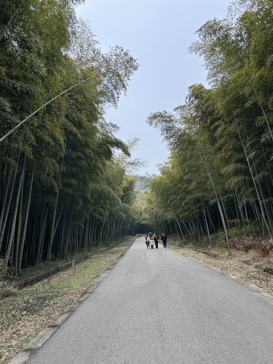 【徒步| 苏州市吴中区旺七】疾速入门·姑苏旺七｜苏州太湖疾速入门线路旅行照片 9