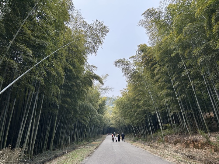 【徒步| 苏州市吴中区旺七】疾速入门·姑苏旺七｜苏州太湖疾速入门线路旅行照片 10