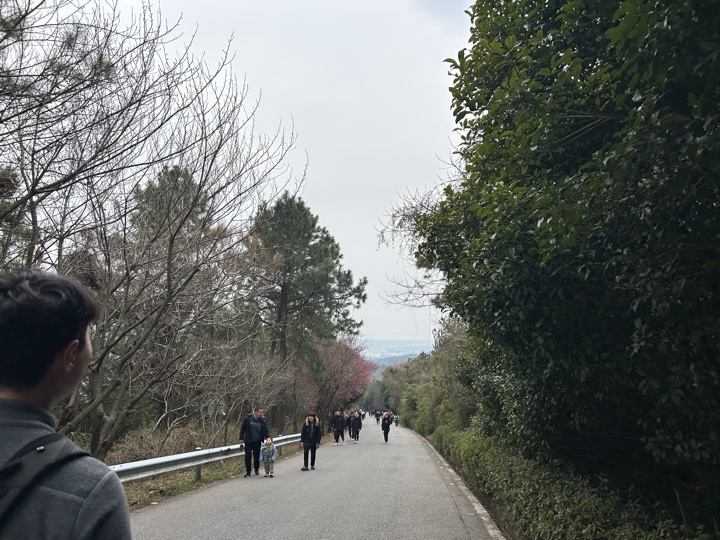 【徒步| 苏州市吴中区旺七】疾速入门·姑苏旺七｜苏州太湖疾速入门线路旅行照片 11